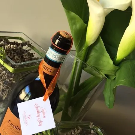 Paradiso 아파트호텔 4*