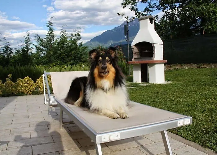 Aparthotel Paradiso 4*