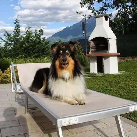 Apart-hotel Paradiso 4*